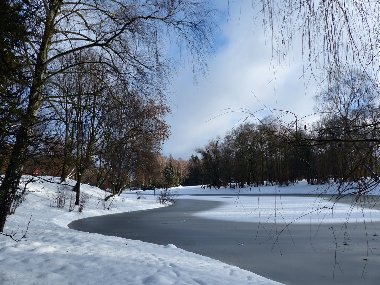 Zima w parku na Zdrowiu
