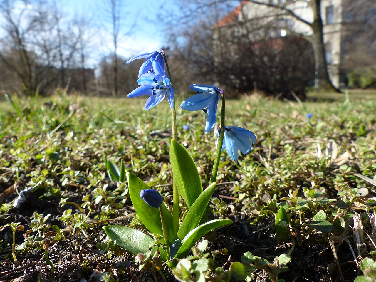 Wiosna w parku Klepacza